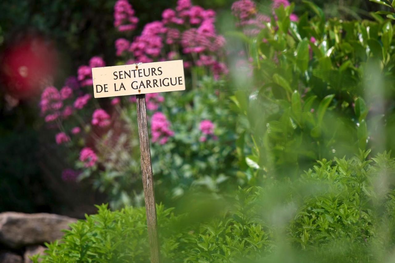 Maison De Village La Clemaline Figanieres ภายนอก รูปภาพ